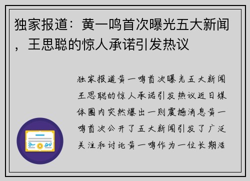 独家报道：黄一鸣首次曝光五大新闻，王思聪的惊人承诺引发热议